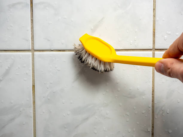 Mold Removal Process in Versailles, KY