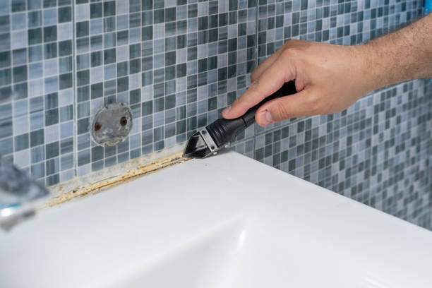 Best Residential Mold Removal  in Versailles, KY