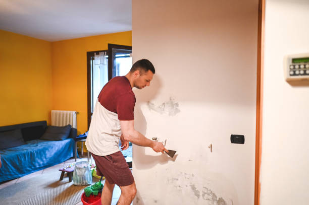Professional Mold Removal in Versailles, KY